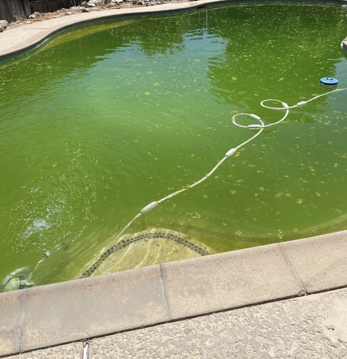 Piscina Verde 2